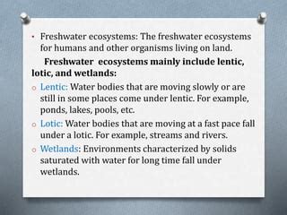  Yarrowia!  A Tiny Crustacean Thriving in Freshwater Ecosystems Around the World